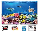 great-art Poster Kinderzimmer Aquarium Wandbild Dekoration Unterwasserwelt Meeresbewohner Ozean Fische Delphin Schildkröte Korallenriff | Wandposter Fotoposter Bild Wandgestaltung by (140 x 100 cm) - 3