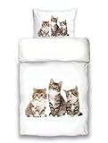 Bettwäsche Katzen Kätzchen Mako Satin Baumwolle 135x200 Digitaldruck