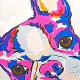 # Betten Quirky Buster Bettbezug-Set mit bebilderte Hunde Zeichnen Art, Polycotton, Mehrfarbig, Doppelbett - 